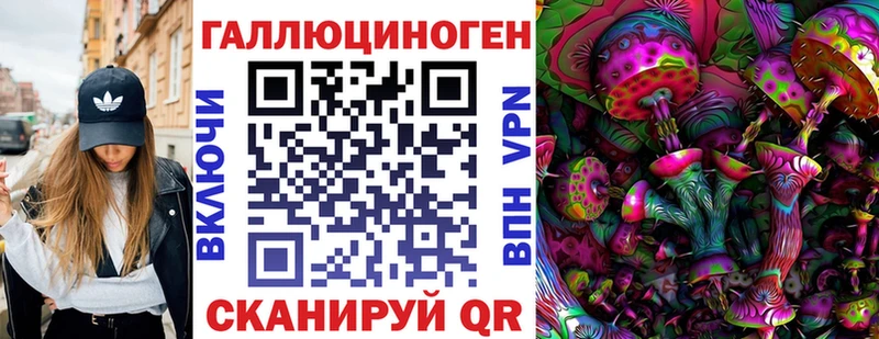 Купить закладки  Лахденпохья  Псилоцибиновые грибы GOLDEN TEACHER 